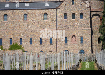 Abtei St. Hildegard, Kloster Eibingen In Rüdesheim Am Rhein, Benediktiner Abtei Stockfoto