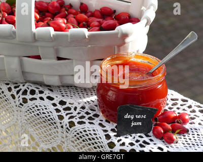 Dog Rose Marmelade mit englischen Label Stockfoto