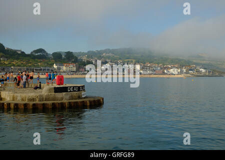 Die Stadt von Lyme Regis, gesehen vom Hafen Stockfoto