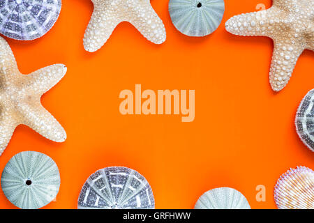 Summer time concept frame with starfish on orange Stockfoto