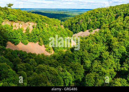 Dichten Hang Buchenwald am Soderasen Nationalpark in Schweden. Es ist Spätsommer oder Frühherbst in den Canyon. Felsbrocken und Stockfoto