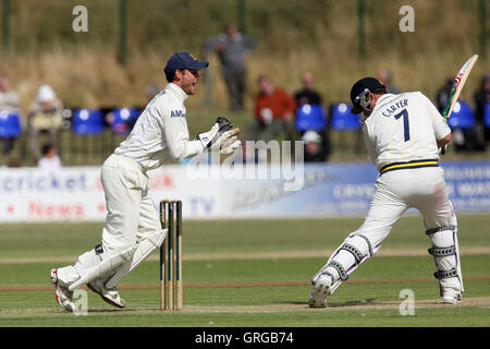 Essex Kapitän James Foster hält genüsslich an einen Haken, Neil Carter entlassen aus der Bowling von Bryce McGain - Essex CCC Vs Warwickshire CCC - LV County Championship Division One auf Garon Park, Southend-on-Sea, Essex - 08.05.10 Stockfoto