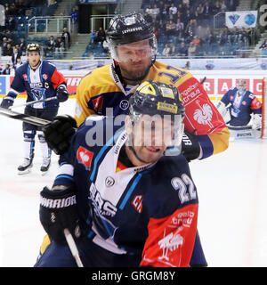 Ingolstadt, Bayern, Deutschland. 6. Sep, 2016. von links Brian SALCIDO (Ingolstadt/USA), Aaron GAGNON (Rauma / CAN),. Champions Hockey League, ERC Ingolstadt Vs Lukko Rauma, Ingolstadt, Saturn Arena, 6. September 2016, Spieltag 8, die besten 48 Teams aus 13 europäischen Hockey-Ligen spielen in dieser Saison in der Champions Hockey League © Wolfgang Fehrmann/ZUMA Draht/Alamy Live News Stockfoto