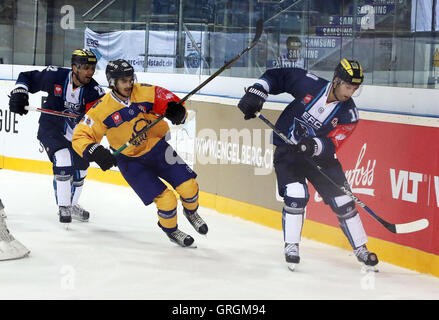 Ingolstadt, Bayern, Deutschland. 6. Sep, 2016. von links Brian SALCIDO (Ingolstadt/USA), Sameli VENTELAE (Rauma), Darryl BOYCE (Ingolstadt / CAN),. Champions Hockey League, ERC Ingolstadt Vs Lukko Rauma, Ingolstadt, Saturn Arena, 6. September 2016, Spieltag 8, die besten 48 Teams aus 13 europäischen Hockey-Ligen spielen in dieser Saison in der Champions Hockey League © Wolfgang Fehrmann/ZUMA Draht/Alamy Live News Stockfoto