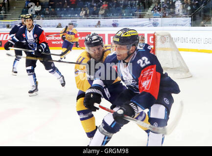 Ingolstadt, Bayern, Deutschland. 6. Sep, 2016. von links Aaron GAGNON (Rauma / CAN), Brian SALCIDO (Ingolstadt/USA). Champions Hockey League, ERC Ingolstadt Vs Lukko Rauma, Ingolstadt, Saturn Arena, 6. September 2016, Spieltag 8, die besten 48 Teams aus 13 europäischen Hockey-Ligen spielen in dieser Saison in der Champions Hockey League © Wolfgang Fehrmann/ZUMA Draht/Alamy Live News Stockfoto