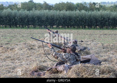 Heidesheim, Deutschland. 29. August 2016. Gut getarnte Jäger zeigen ihre Schrotflinten in einem Feld bei der Gans Jagd in der Nähe von Heidesheim, Deutschland, 29. August 2016. Mehr und mehr Gänse bevölkern Rheinland-Pfalz. Für einige Naturschauspiel sind, für andere ein Ärgernis, als die Vögel in den Bereichen Essen und Stuhlgang auf den Wiesen. Foto: DOREEN FIEDLER/Dpa/Alamy Live News Stockfoto