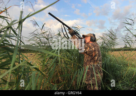 Heidesheim, Deutschland. 29. August 2016. Christoph Hildebrandt aus der staatlichen Jagdverband weist seine Schrotflinte während einer Gans-Jagd in der Nähe von Heidesheim, Deutschland, 29. August 2016. Mehr und mehr Gänse bevölkern Rheinland-Pfalz. Für einige Naturschauspiel sind, für andere ein Ärgernis, als die Vögel in den Bereichen Essen und Stuhlgang auf den Wiesen. Foto: DOREEN FIEDLER/Dpa/Alamy Live News Stockfoto