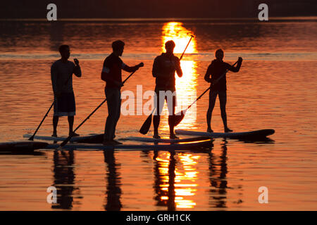 Hamburg, Deutschland. 8. Sep, 2016. Paddler auf der Alster während Sundawn in Hamburg, Deutschland, 8. September 2016 aufzustehen. Foto: CHRISTIAN CHARISIUS/Dpa/Alamy Live News Stockfoto