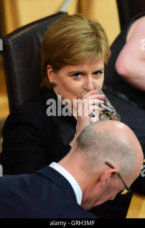 Edinburgh, Schottland, Vereinigtes Königreich, 08, September 2016. Nicola Sturgeon am ersten Minister Fragen in das schottische Parlament, Credit: Ken Jack / Alamy Live News Stockfoto