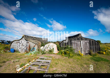 Berühmte umgedrehten Angelboote/Fischerboote am Strand von Lindisfarne, Holy Island Northumberland England UK Stockfoto