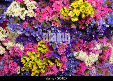 Bouquet von wilden Blumen in verschiedenen Farben Stockfoto