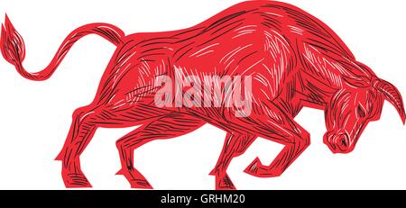 Bull Aufladung Zeichnung Stock Vektor