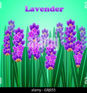 Der Lavendel elegante Karte mit Rahmen aus Blumen und Text. Vektor Stock Vektor
