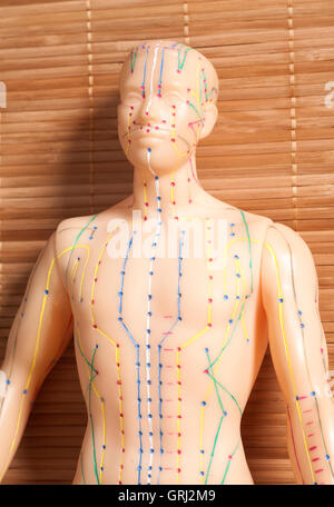 Medizinische Akupunkturmodell der menschlichen auf hölzernen Hintergrund Stockfoto