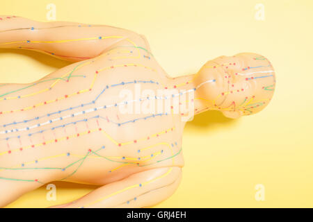 Medizinische Akupunkturmodell der menschlichen auf gelbem Hintergrund Stockfoto