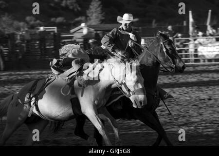 Aktion während der Sattel Bronc Reiten Wettbewerb in Snowmass Rodeo, Snowmass, Colorado Stockfoto