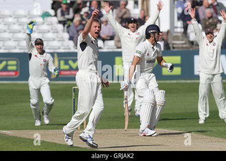 Mark Davies von Kent Beschwerden erfolgreich für das Wicket von Alastair Cook gefangen Lbw - Essex CCC Vs Kent CCC - LV County Championship Division zwei Cricket an der Ford County Ground, Chelmsford, Essex - 05.11.12 Stockfoto