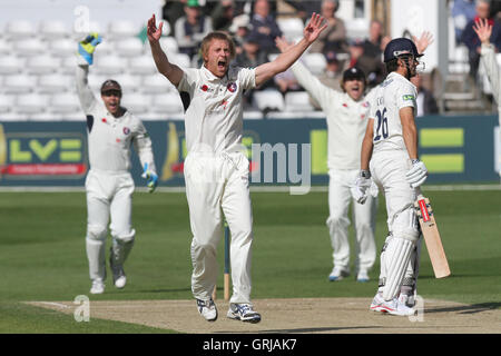 Mark Davies von Kent Beschwerden erfolgreich für das Wicket von Alastair Cook gefangen Lbw - Essex CCC Vs Kent CCC - LV County Championship Division zwei Cricket an der Ford County Ground, Chelmsford, Essex - 05.11.12 Stockfoto