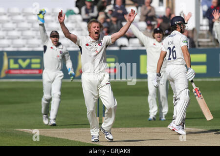 Mark Davies von Kent Beschwerden erfolgreich für das Wicket von Alastair Cook gefangen Lbw - Essex CCC Vs Kent CCC - LV County Championship Division zwei Cricket an der Ford County Ground, Chelmsford, Essex - 05.11.12 Stockfoto