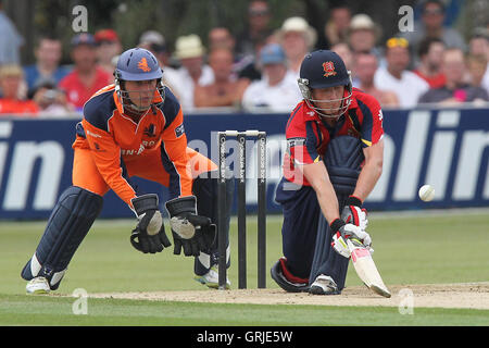 Tom Westley in Aktion für Essex - Essex Adler Vs Niederlande - Clydesdale Bank 40 Cricket am Schlosspark, Colchester - 19.08.12 Wimper Stockfoto