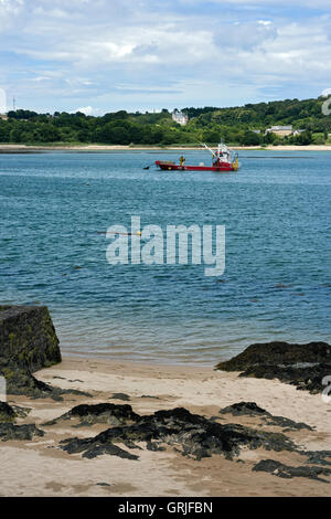 Paimpol Bucht Auster Boot vor Anker Stockfoto