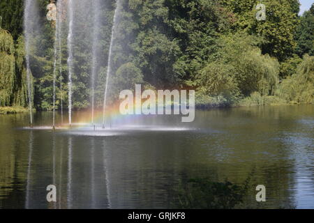 Regenbogen im Teich Stockfoto