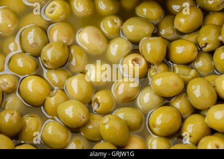 Die Olive Olea europaea, was bedeutet, dass "Europäische Olive', ist eine Art von kleinen Baum in der Familie Fabaceae, im Mittelmeerraum gefunden. Stockfoto
