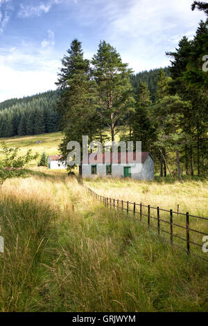 Rote Wellpappe Dach Schuppen in der Tweedsmuir Landschaft. Schottland, Schottland Stockfoto