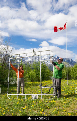 Sparren prepping um Alsek River, Kluane National Park, Haines Junction Floß Stockfoto