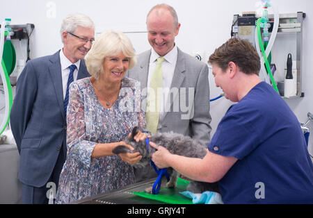 Die Herzogin von Cornwall trifft eine Terrier namens Nancy mit tierärztlicher Leiter Shaun Opperman, Promi-Botschafter Paul O'Grady (links) und Schwester Becky Smith während eines Besuchs in Battersea Hunde & Cats Home in Südlondon. Stockfoto