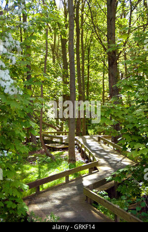 West Boldon Lodge / Umweltbildung centre Stockfoto