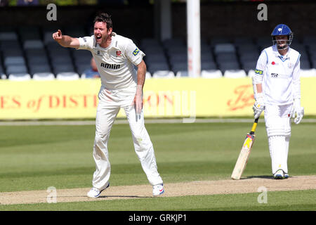 David Masters of Essex mit einem eindringlichen Appell für das Wicket David Wainwright - Essex CCC Vs Derbyshire CCC - LV County Championship Division zwei Cricket im Essex County Ground, Chelmsford - 16.04.14 Stockfoto