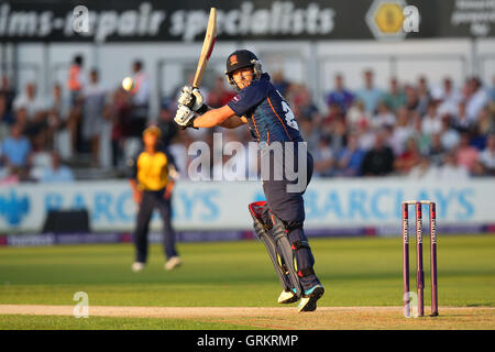 Tom Westley trifft für Essex - Essex Adler Vs Birmingham Bären - NatWest T20 Blast Viertelfinal-Cricket an der Essex County Ground, Chelmsford, Essex - 08.02.14 Stockfoto