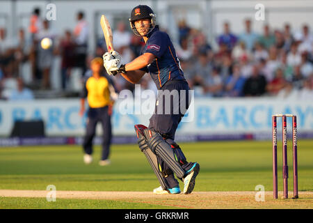 Tom Westley trifft für Essex - Essex Adler Vs Birmingham Bären - NatWest T20 Blast Viertelfinal-Cricket an der Essex County Ground, Chelmsford, Essex - 08.02.14 Stockfoto