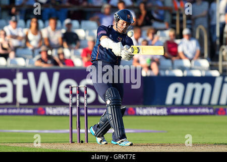 Tim Phillips trifft für Essex - Essex Adler Vs Hampshire CCC - NatWest T20 Blast Cricket an der Essex County Ground, Chelmsford, Essex - 22.07.14 Stockfoto