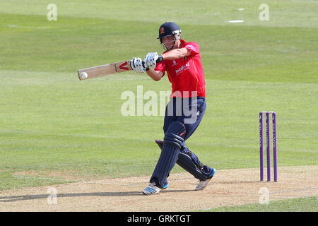 Tom Westley trifft für Essex - Essex Adler Vs Lancashire Blitz - Royal London Eintages-Cup an der Essex County Ground, Chelmsford, Essex - 08.05.14 Stockfoto