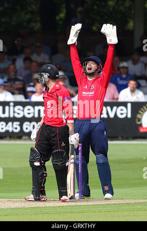 James Foster von Essex mit einem erfolgreichen Appell für das Wicket Angus Robson von der Bowling von Tim Phillips - Essex Adler Vs Leicestershire Foxes - Royal London-ein-Tages-Cup an der Essex County Ground, Chelmsford, Essex - 31.07.14 Stockfoto