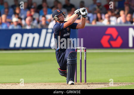 Tom Westley trifft für Essex - Essex Adler Vs Sussex Haie - NatWest T20 Blast Cricket an der Essex County Ground, Chelmsford, Essex - 25.07.14 Stockfoto