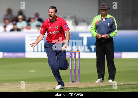 David Masters of Essex mit einem eindringlichen Appell für ein Wicket - Essex Adler Vs Warwickshire Bären - Royal London-ein-Tages-Cup im Essex County Ground, Chelsmford - 28.08.14 Stockfoto