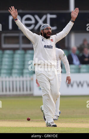 Monty Panesar von Essex feiert unter das Wicket Leicestershire Schlagmann Greg Smith - Leicestershire CCC Vs Essex CCC - LV County Championship Division zwei Cricket auf Grace Road, Leicester - 16.09.14 Stockfoto