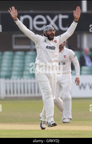 Monty Panesar von Essex feiert unter das Wicket Leicestershire Schlagmann Greg Smith - Leicestershire CCC Vs Essex CCC - LV County Championship Division zwei Cricket auf Grace Road, Leicester - 16.09.14 Stockfoto