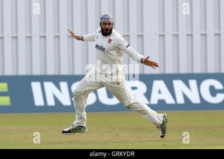 Monty Panesar von Essex feiert unter das Wicket Leicestershire Schlagmann Greg Smith - Leicestershire CCC Vs Essex CCC - LV County Championship Division zwei Cricket auf Grace Road, Leicester - 16.09.14 Stockfoto