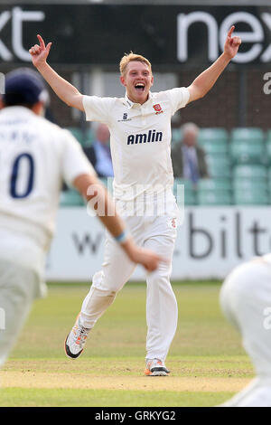 Jamie Porter von Essex feiert unter das Wicket Dan Redfern - Leicestershire CCC Vs Essex CCC - LV County Championship Division zwei Cricket auf Grace Road, Leicester - 16.09.14 Stockfoto