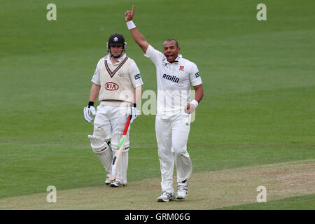 Freude für Tymal Mills von Essex, wie er, das Wicket Dominic Sibley - Surrey CCC Vs Essex CCC - LV County Championship Division zwei Cricket am Kia Oval, Kennington, London - 22.04.14 behauptet Stockfoto