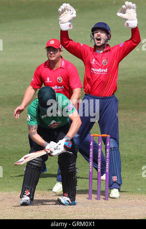 James Foster von Essex mit einem erfolgreichen Appell für das Wicket von Alexei Kervezee aus der Bowling von Tim Phillips - Worcestershire Rapids Vs Essex Adler - Royal London On Day Cup bei New Road, Worcester - 27.07.14 Stockfoto