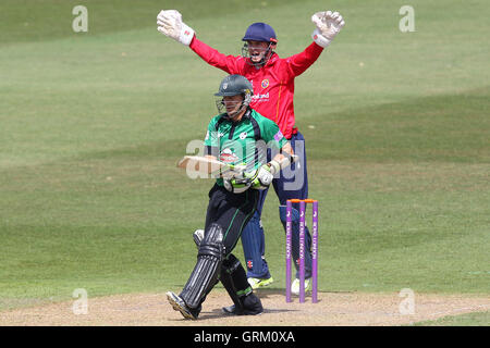 James Foster von Essex mit einem erfolgreichen Appell für das Wicket Daryl Mitchell aus Bowling von Tim Phillips - Worcestershire Rapids Vs Essex Adler - Royal London On Day Cup bei New Road, Worcester - 27.07.14 Stockfoto