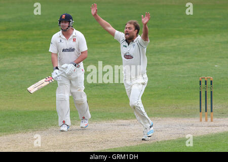 -CCC Worcestershire Vs Essex CCC - LV County Championship Division zwei Cricket auf New Road, Worcester - 20.05.14 Stockfoto