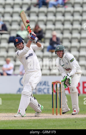 -CCC Worcestershire Vs Essex CCC - LV County Championship Division zwei Cricket auf New Road, Worcester - 20.05.14 Stockfoto