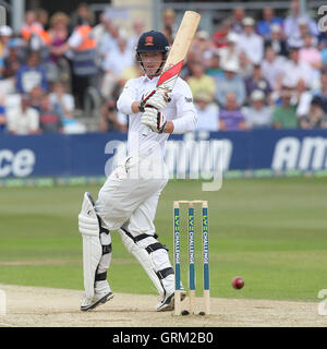 Tom Westley in Aktion für Essex - Essex CCC Vs England - LV Challenge Match im Essex County Ground, Chelmsford - 07.01.13 Wimper Stockfoto