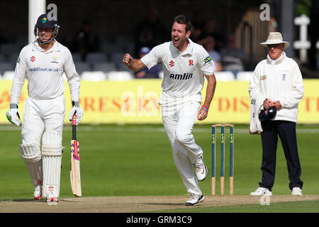 Eine starke Anziehungskraft von David Masters von Essex für das Wicket Willen Bragg - Essex CCC Vs Glamorgan CCC - LV County Championship Division zwei Cricket an der Essex County Ground, Chelmsford, Essex - 20.09.13 Stockfoto